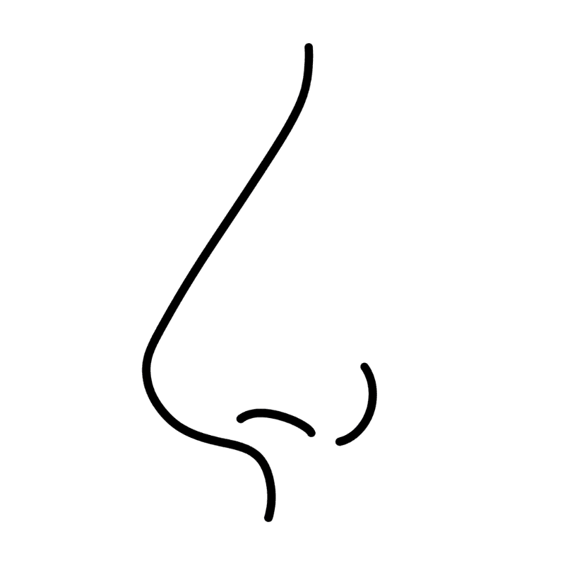 직선라인 일러스트